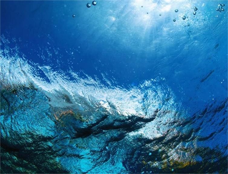 循环冷却水系统中水垢、污垢控制方法