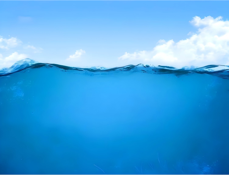 活性污泥法系统运行过程中，都有哪些控制要点？