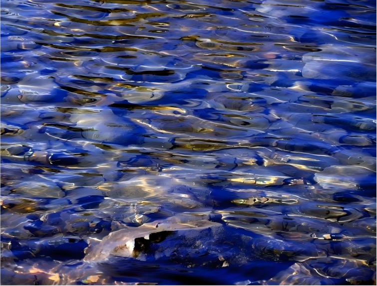 How is urban domestic sewage treated? Let's increase our knowledge together.